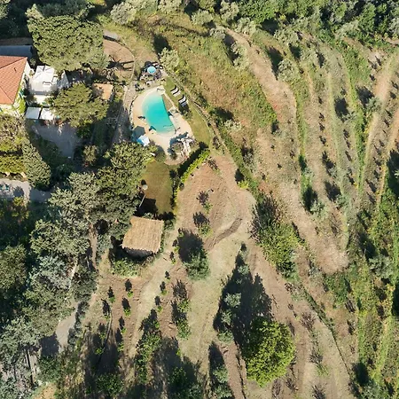 Giuffre Villa